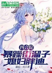 四合院：暴躁街溜子，媳妇胖迪 封面