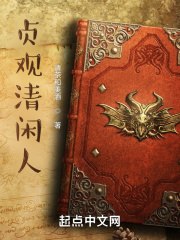 贞观清闲人 封面