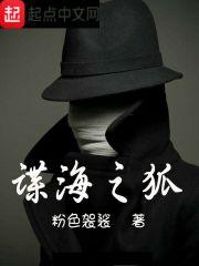 谍海之狐 封面