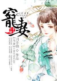 宠妻 封面