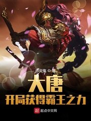 大唐:开局获得霸王之力 封面