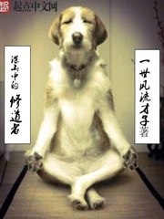 深山中的修道者 封面