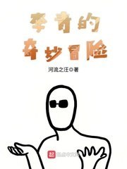 李青的奇妙冒险 封面