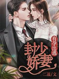 封少娇妻，有孕出逃封晏唐柒柒 封面