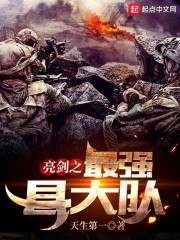 亮剑之最强县大队 封面