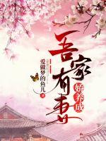 吾家有妻娇养成 封面