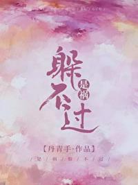 是祸躲不过 封面