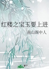 红楼之宝玉要上进 封面