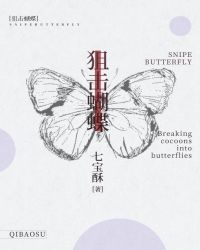 狙击蝴蝶 封面
