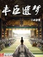 丰臣遗梦 封面