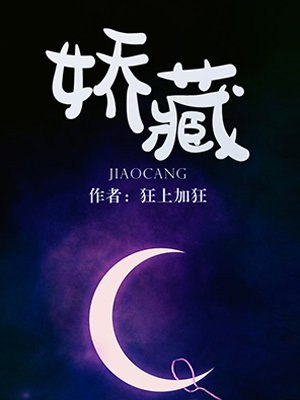 娇藏 封面