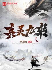 真灵九转 封面