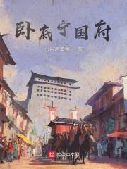 卧底宁国府 封面