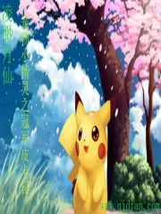 宠物小精灵之冠军皮卡丘 封面