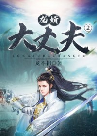 龙婿大丈夫2 封面