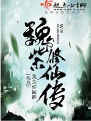 魏紫修仙传 封面