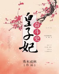 皇子妃奋斗史 封面