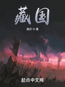 藏国 封面