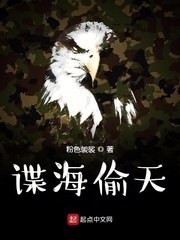 谍海偷天 封面