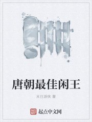 唐朝最佳闲王 封面