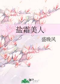 盐霜美人 封面