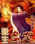 重生盘龙 封面
