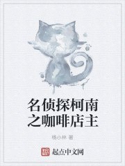 名侦探柯南之咖啡店主 封面