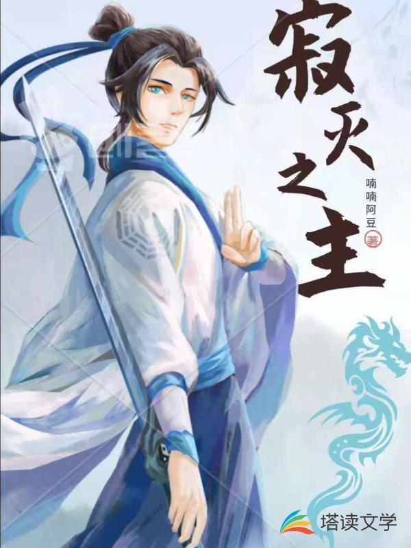 寂灭之主 封面
