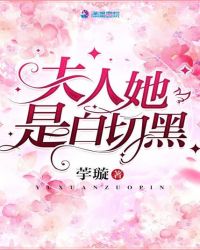 夫人她是白切黑 封面