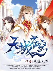 天域苍穹 封面