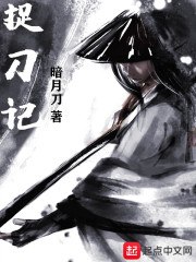 捉刀记 封面
