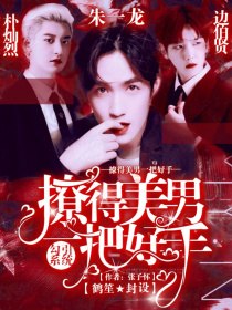 勾搭系统：撩得美男一把好手 封面