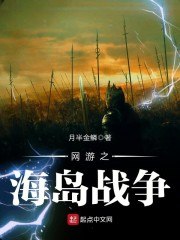 网游之海岛战争 封面