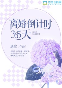 离婚倒计时:365天 封面