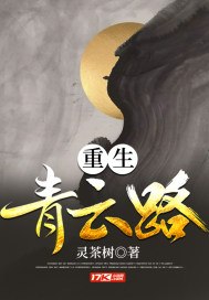 重生青云路 封面