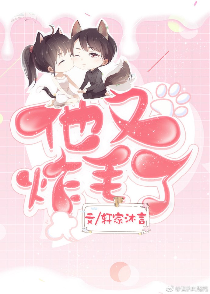 他又炸毛了 封面