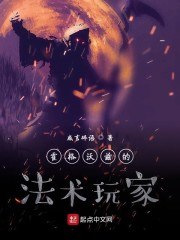 霍格沃兹的法术玩家 封面