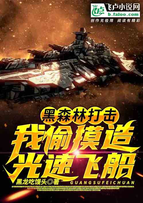 黑森林打击,我偷摸造光速飞船 封面