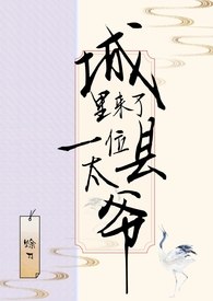 城里来了一位县太爷 封面