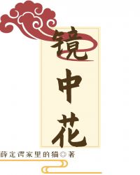 镜中花 封面
