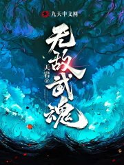 无敌武魂 封面
