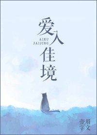 爱入佳境 封面