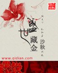 盛世藏金 封面