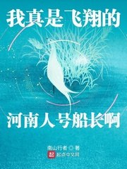 我真是飞翔的河南人号船长啊 封面