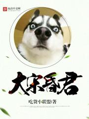 大宋昏君 封面