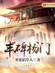 丰碑杨门 封面