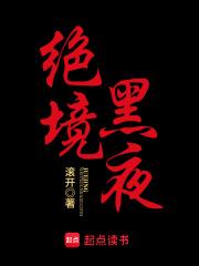 绝境黑夜 封面