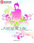 大明星爱上我 封面