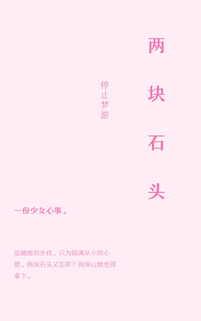 两块石头 封面