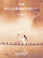 综武:你什么大侠也配给我打工? 封面